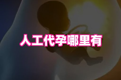 61助孕网 2