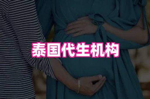 61助孕网 4